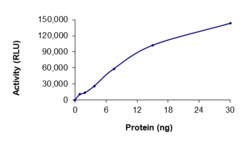 Sino Biological&nbsp;Recombinant Human Her2/ERBB2 Protein (V956R, His Tag), Active